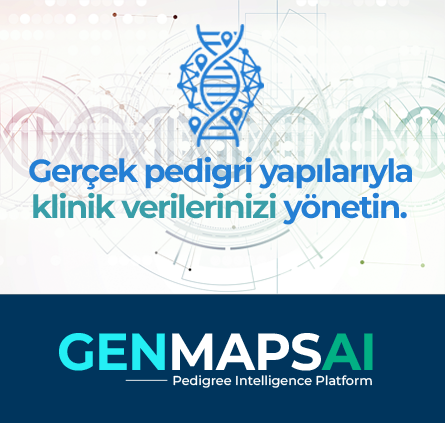 GenMaps AI - Pedigri